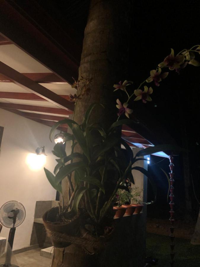 Lohas Villa Hiriketiya Диквела Екстериор снимка
