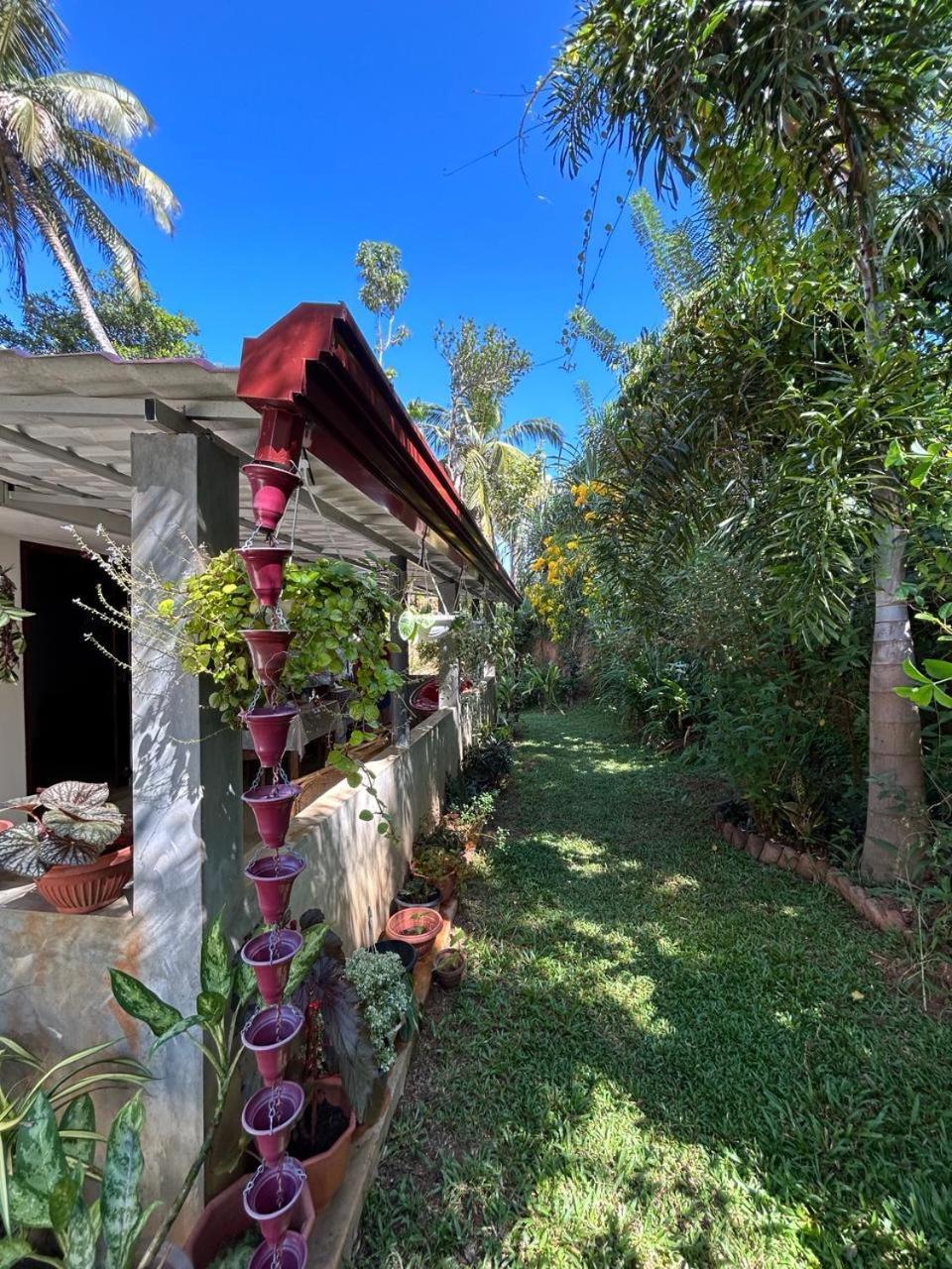 Lohas Villa Hiriketiya Диквела Екстериор снимка